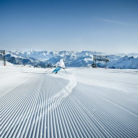 Alpenparks Zell Am Zell am See