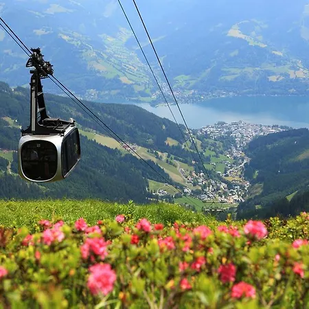Alpenparks Zell Am *